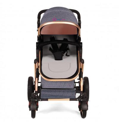 double stroller premium and most stylish look