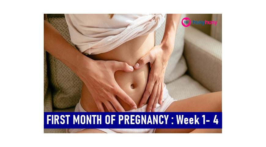 First Month Of Pregnancy : Week 1-4