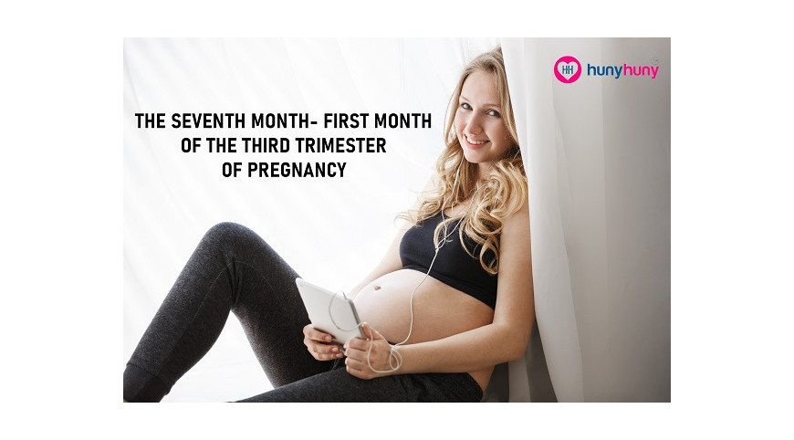 The Seventh Month - First Month Of The Third Trimester Of Pregnancy